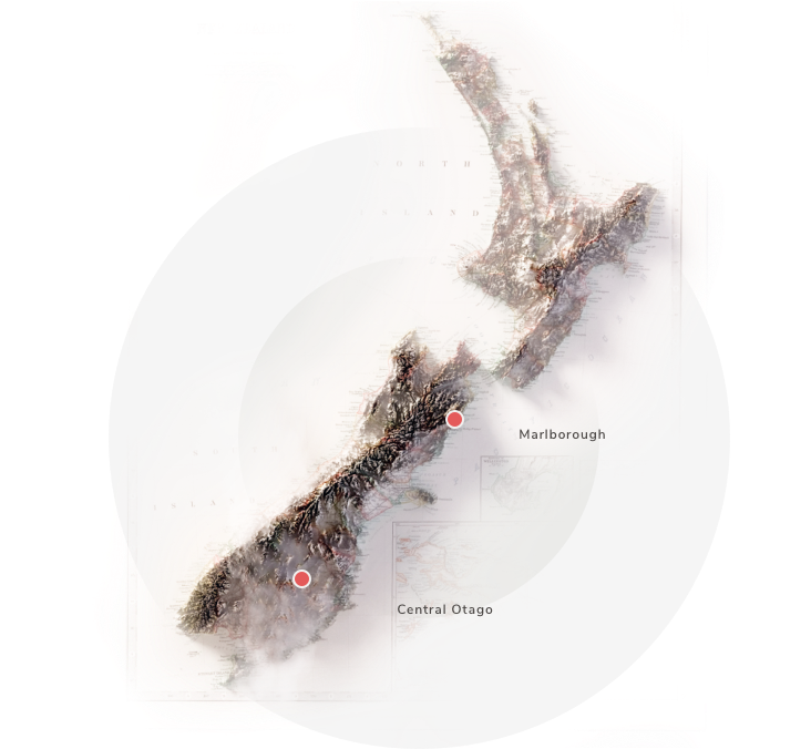 New Zealand topographic map